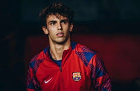 2025 赛季：圣地亚哥教士队新秀梅里尔获得国联年度最有价值球员提名