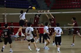 CBA：广厦主场大胜广东 胡金秋砍下35分9篮板